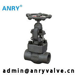 API602 SW BW NPT 안출되 A105 신체 13%CR 정비 문짝 밸브